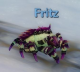 Fritz 